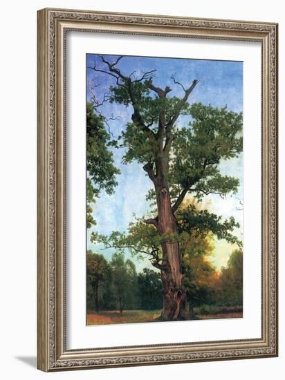 Pioneers of The Forest-Albert Bierstadt-Framed Art Print