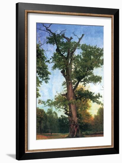 Pioneers of The Forest-Albert Bierstadt-Framed Art Print