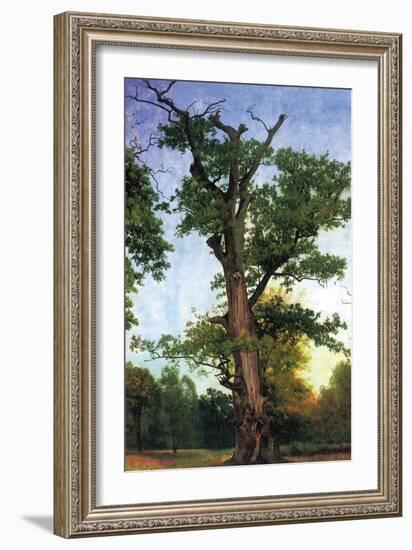 Pioneers of The Forest-Albert Bierstadt-Framed Art Print