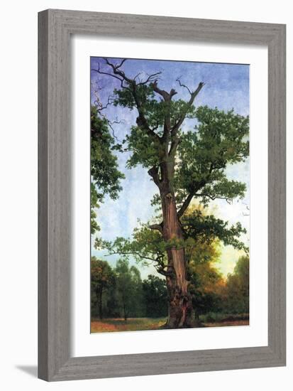 Pioneers of The Forest-Albert Bierstadt-Framed Art Print