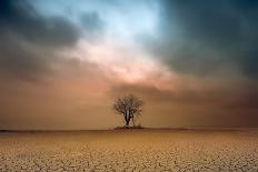 a loner ...-Piotr Krol (Bax)-Photographic Print