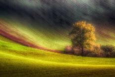 Green fields-Piotr Krol (Bax)-Photographic Print