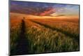 Photographic Print