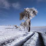 winter in summer-Piotr Krol (Bax)-Photographic Print