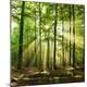Premium Photographic Print