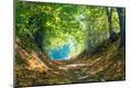 Premium Photographic Print