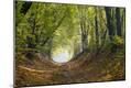 Photographic Print