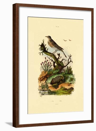 Pipa, 1833-39-null-Framed Giclee Print