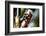 Pipe and Valve-Dana Styber-Framed Photographic Print