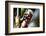 Pipe and Valve-Dana Styber-Framed Photographic Print