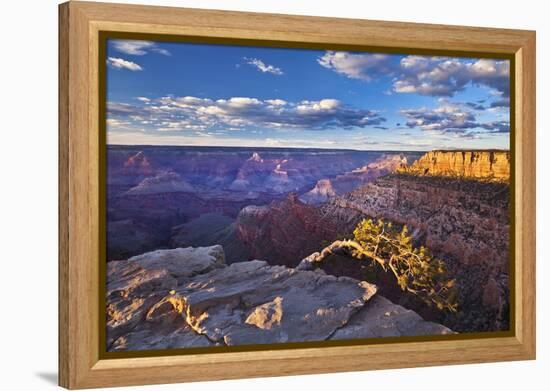 Pipe Creek Vista Point Overlook, South Rim, Grand Canyon Nat'l Park, UNESCO Site, Arizona, USA-Neale Clark-Framed Premier Image Canvas