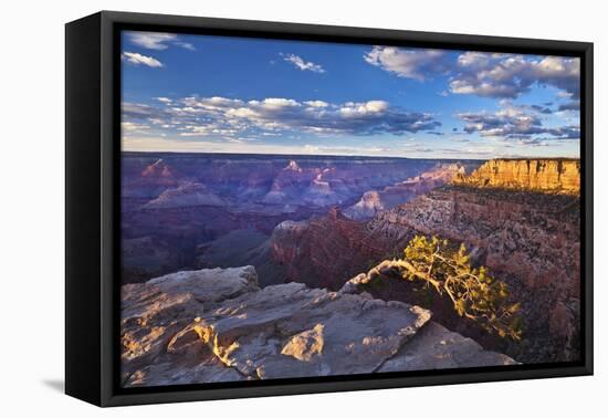 Pipe Creek Vista Point Overlook, South Rim, Grand Canyon Nat'l Park, UNESCO Site, Arizona, USA-Neale Clark-Framed Premier Image Canvas