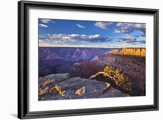 Pipe Creek Vista Point Overlook, South Rim, Grand Canyon Nat'l Park, UNESCO Site, Arizona, USA-Neale Clark-Framed Photographic Print