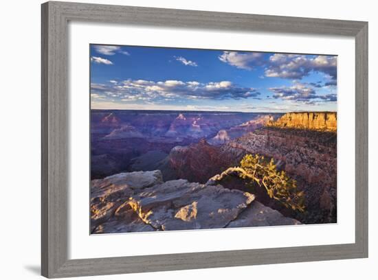 Pipe Creek Vista Point Overlook, South Rim, Grand Canyon Nat'l Park, UNESCO Site, Arizona, USA-Neale Clark-Framed Photographic Print