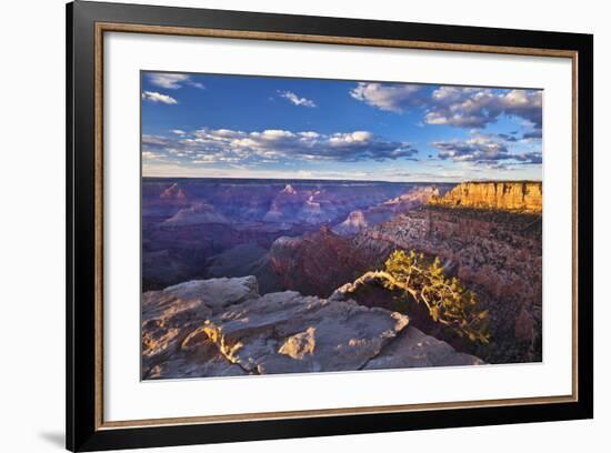 Pipe Creek Vista Point Overlook, South Rim, Grand Canyon Nat'l Park, UNESCO Site, Arizona, USA-Neale Clark-Framed Photographic Print