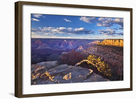 Pipe Creek Vista Point Overlook, South Rim, Grand Canyon Nat'l Park, UNESCO Site, Arizona, USA-Neale Clark-Framed Photographic Print