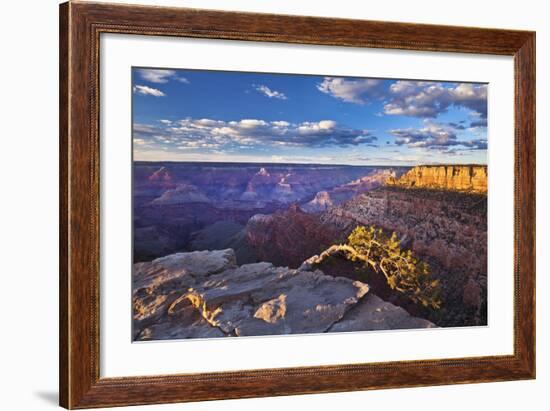 Pipe Creek Vista Point Overlook, South Rim, Grand Canyon Nat'l Park, UNESCO Site, Arizona, USA-Neale Clark-Framed Photographic Print