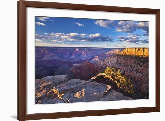 Pipe Creek Vista Point Overlook, South Rim, Grand Canyon Nat'l Park, UNESCO Site, Arizona, USA-Neale Clark-Framed Photographic Print