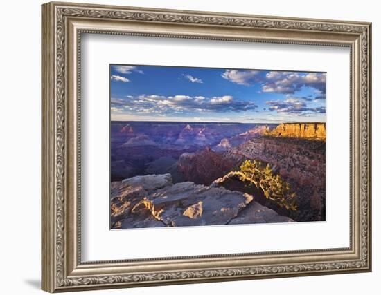 Pipe Creek Vista Point Overlook, South Rim, Grand Canyon Nat'l Park, UNESCO Site, Arizona, USA-Neale Clark-Framed Photographic Print