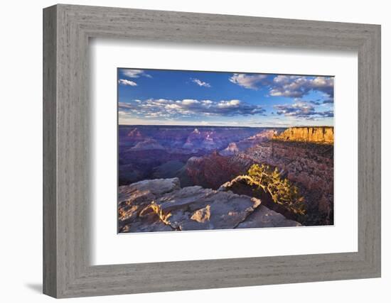 Pipe Creek Vista Point Overlook, South Rim, Grand Canyon Nat'l Park, UNESCO Site, Arizona, USA-Neale Clark-Framed Photographic Print