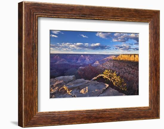 Pipe Creek Vista Point Overlook, South Rim, Grand Canyon Nat'l Park, UNESCO Site, Arizona, USA-Neale Clark-Framed Photographic Print