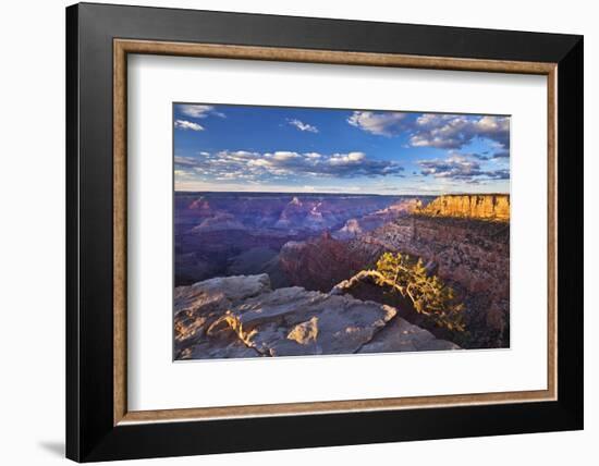 Pipe Creek Vista Point Overlook, South Rim, Grand Canyon Nat'l Park, UNESCO Site, Arizona, USA-Neale Clark-Framed Photographic Print