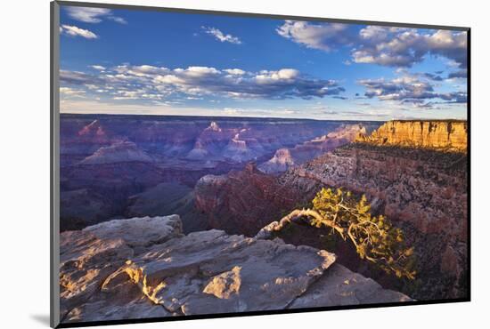 Pipe Creek Vista Point Overlook, South Rim, Grand Canyon Nat'l Park, UNESCO Site, Arizona, USA-Neale Clark-Mounted Photographic Print