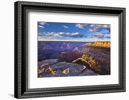 Pipe Creek Vista Point Overlook, South Rim, Grand Canyon Nat'l Park, UNESCO Site, Arizona, USA-Neale Clark-Framed Photographic Print