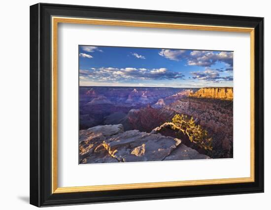 Pipe Creek Vista Point Overlook, South Rim, Grand Canyon Nat'l Park, UNESCO Site, Arizona, USA-Neale Clark-Framed Photographic Print