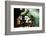 Pipe Junction-Dana Styber-Framed Photographic Print