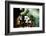 Pipe Junction-Dana Styber-Framed Photographic Print