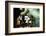 Pipe Junction-Dana Styber-Framed Photographic Print