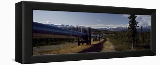 Pipeline Passing Through a Landscape, Trans-Alaskan Pipeline, Alaska, USA-null-Framed Premier Image Canvas