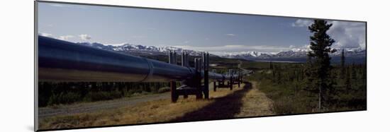 Pipeline Passing Through a Landscape, Trans-Alaskan Pipeline, Alaska, USA-null-Mounted Photographic Print