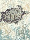 Blueprint Sea Turtle-Piper Ballantyne-Art Print