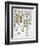 Piper Indicum-Basilius Besler-Framed Giclee Print