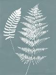 Nature by the Lake Ferns III Gray Mist-Piper Rhue-Art Print