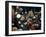 Pipers, Scotland, United Kingdom-Adam Woolfitt-Framed Photographic Print