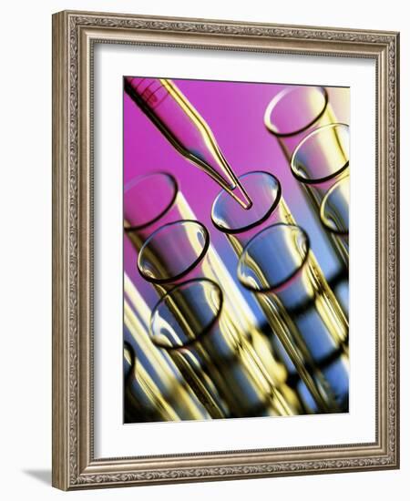 Pipette Adding Fluid To One of Several Test Tubes-Tek Image-Framed Photographic Print