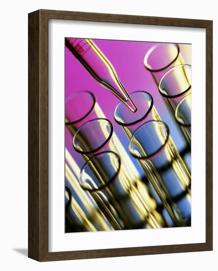 Pipette Adding Fluid To One of Several Test Tubes-Tek Image-Framed Photographic Print