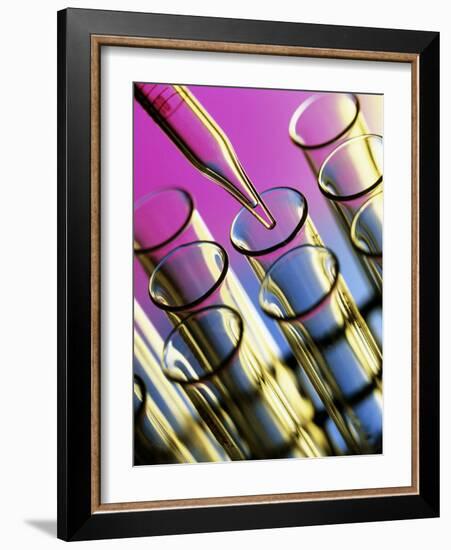Pipette Adding Fluid To One of Several Test Tubes-Tek Image-Framed Photographic Print