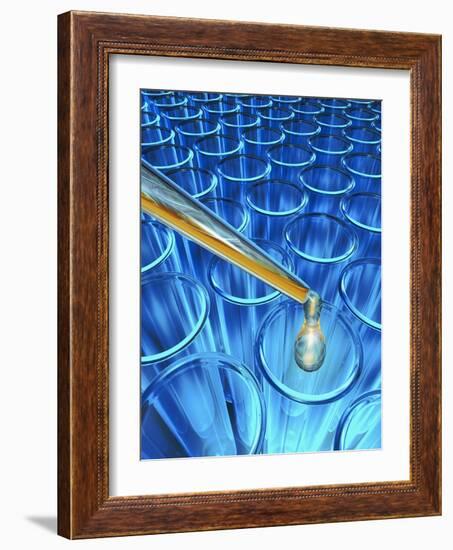 Pipette Dripping Liquid into Test Tubes-Matthias Kulka-Framed Giclee Print