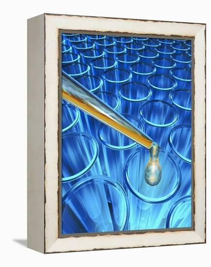 Pipette Dripping Liquid into Test Tubes-Matthias Kulka-Framed Premier Image Canvas