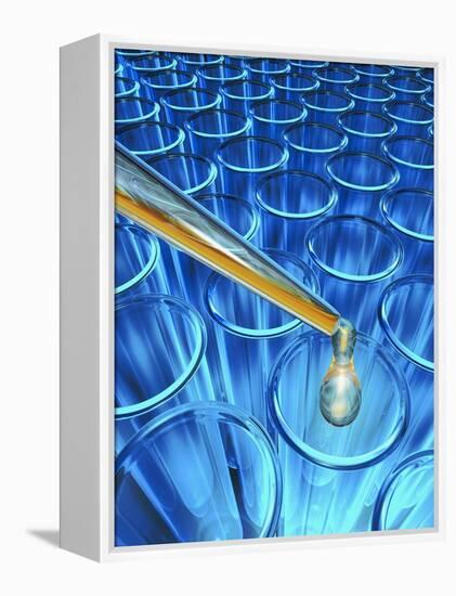Pipette Dripping Liquid into Test Tubes-Matthias Kulka-Framed Premier Image Canvas