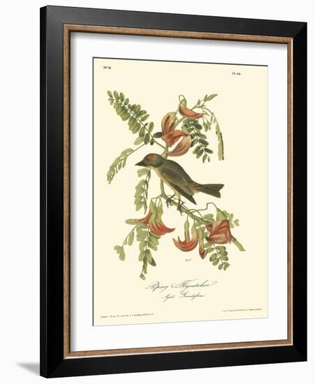 Pipiry Flycatcher-John James Audubon-Framed Art Print