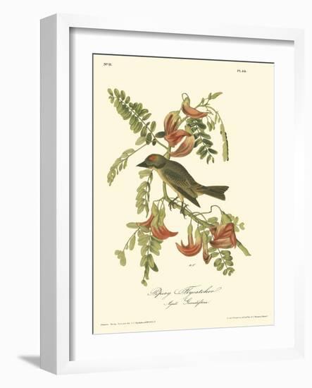 Pipiry Flycatcher-John James Audubon-Framed Art Print