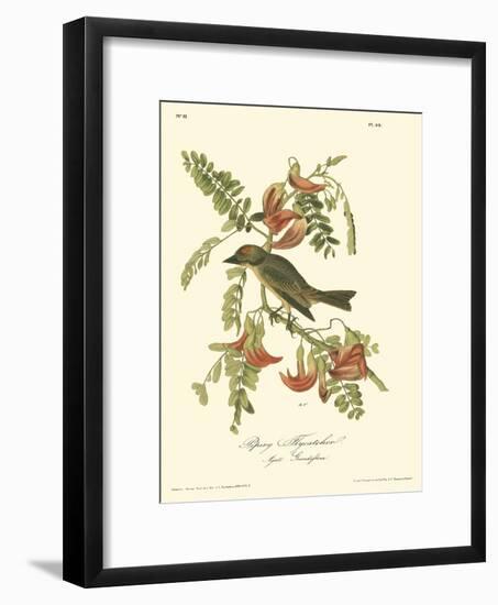 Pipiry Flycatcher-John James Audubon-Framed Art Print