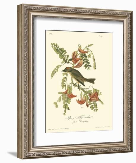 Pipiry Flycatcher-John James Audubon-Framed Art Print