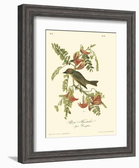 Pipiry Flycatcher-John James Audubon-Framed Art Print