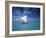 Piragoe, Ile Des Pins, New Caledonia-Neil Farrin-Framed Photographic Print